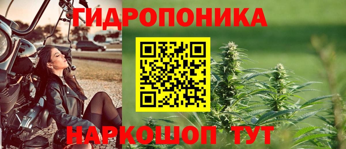 Бошки Шишки THC 21% Феодосия
